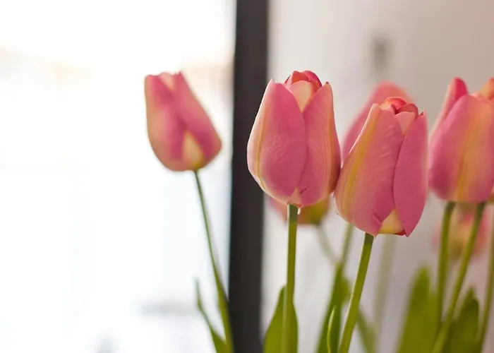 Aba Centrum Krynica Zdroj